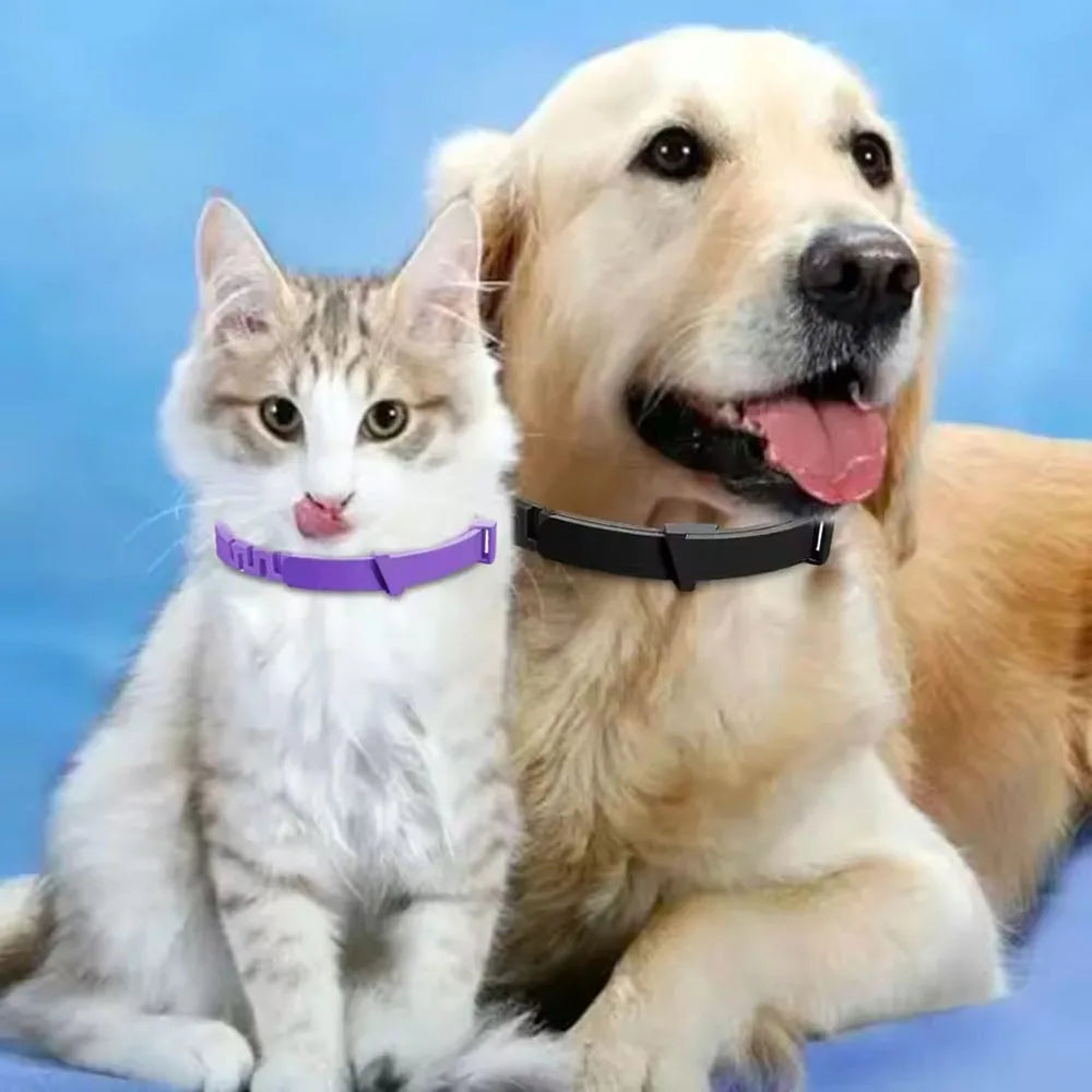 Adjustable Plastic Dog Cat Collar Waterproof