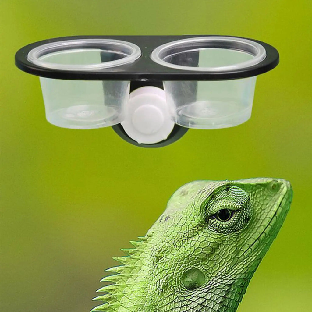 Reptile Food Water Bowl Dish