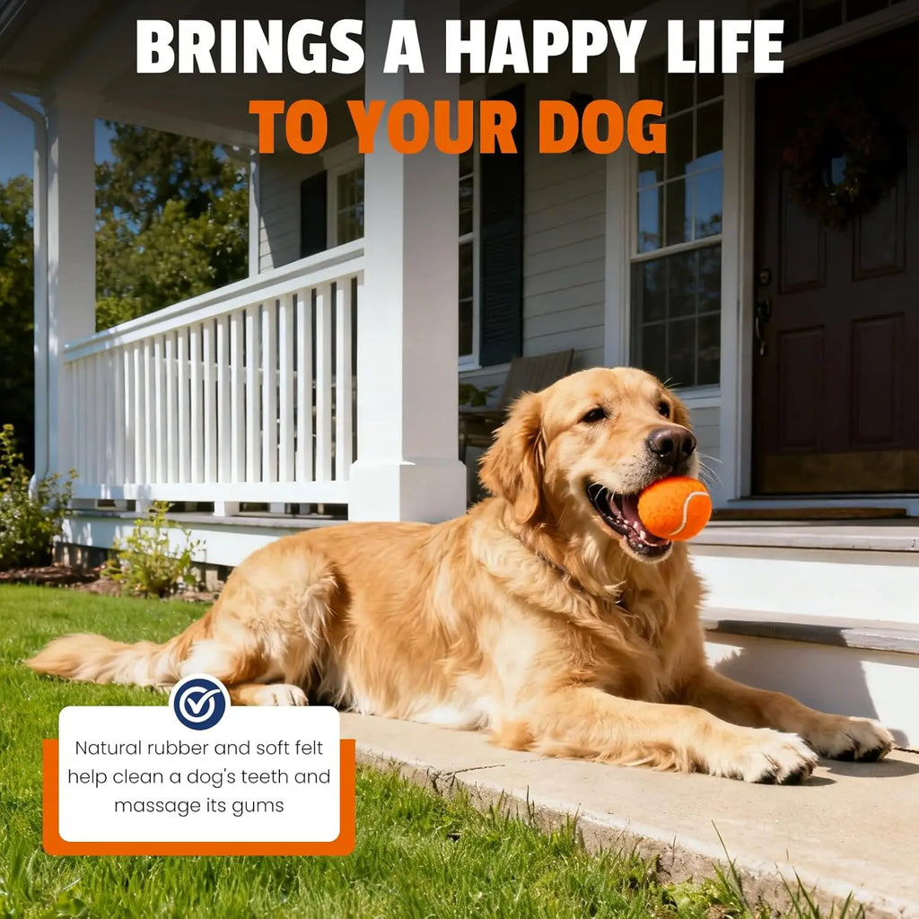 80 Pack Tennis Balls for Dogs