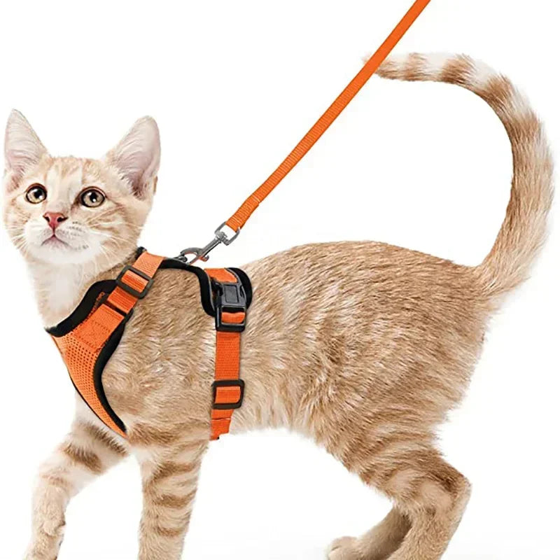 Cat Puppy Harness and Leash for Walking