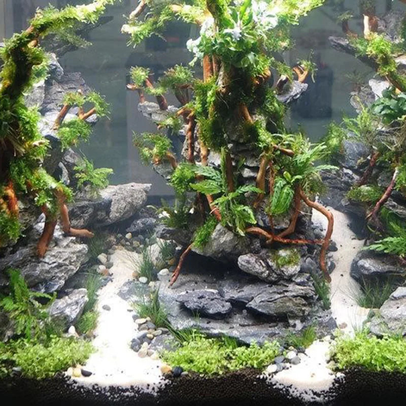 Aquarium Micro Landscape Natural Driftwood Ornaments