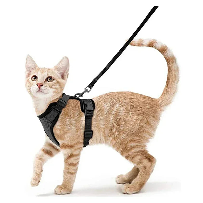 Cat Puppy Harness and Leash for Walking