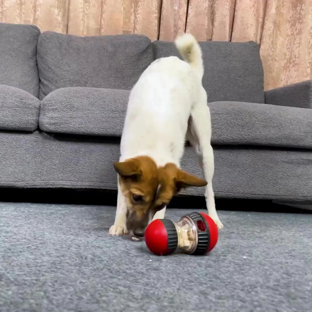 Pet Dog Cat Interactive Slow Feeder Ball