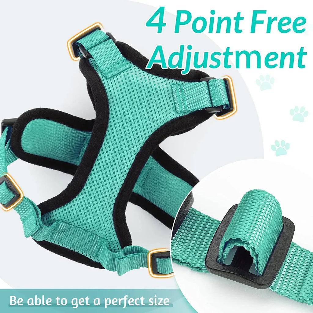 Cat Puppy Harness and Leash for Walking