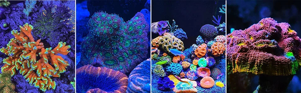 WiFi APP Controlled Full Spectrum Aquarium Reef Light