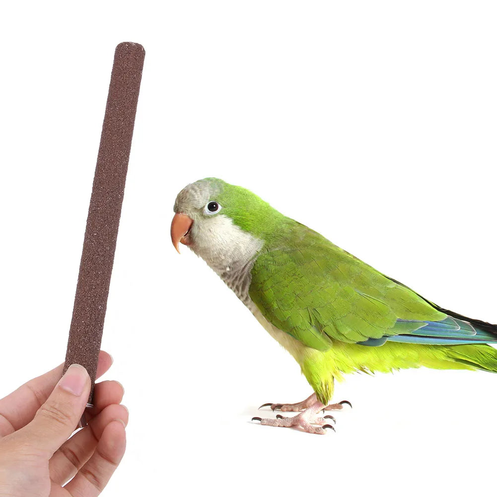 Bird Claw Beak Grinding Bar 1 piece