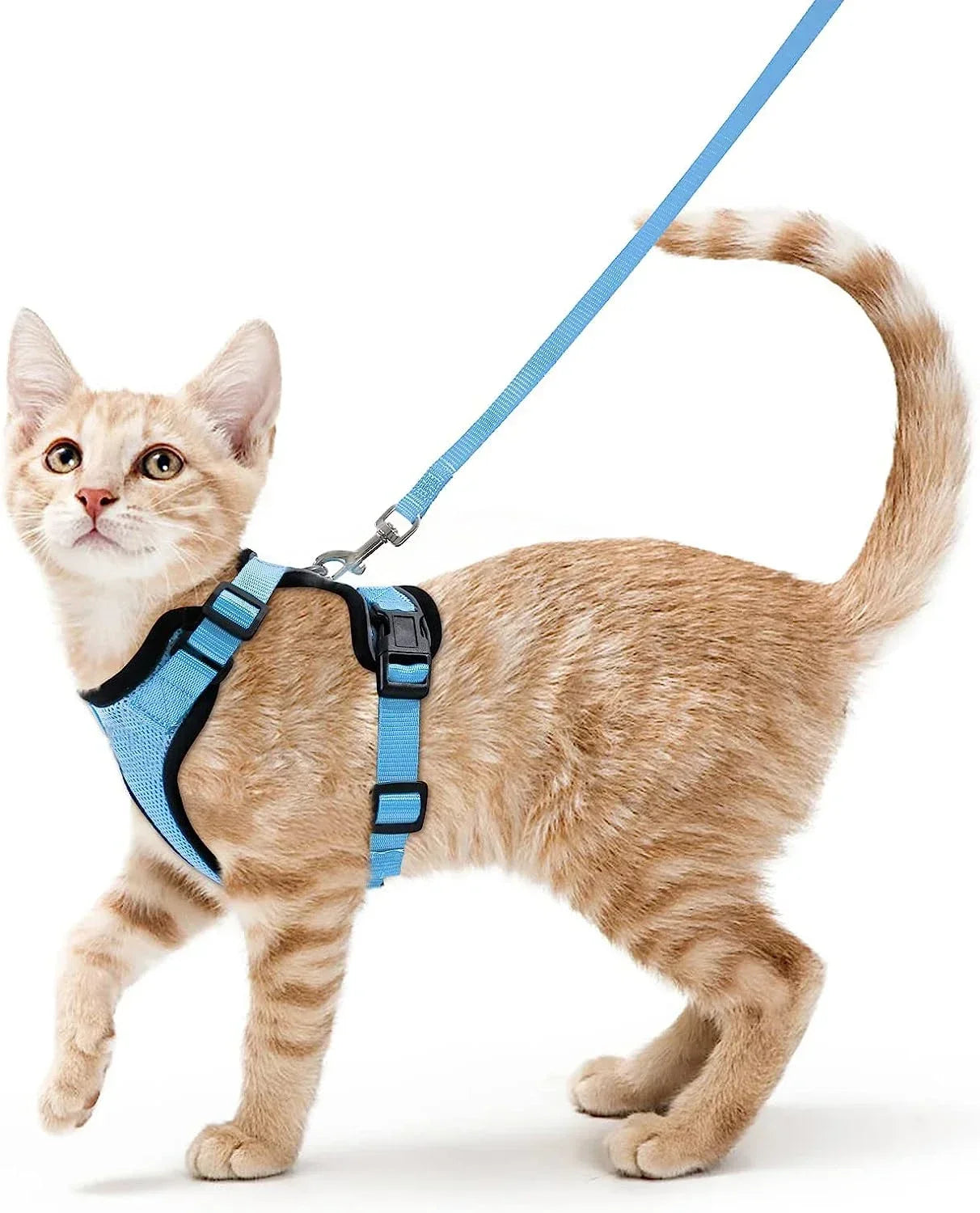 Cat Puppy Harness and Leash for Walking