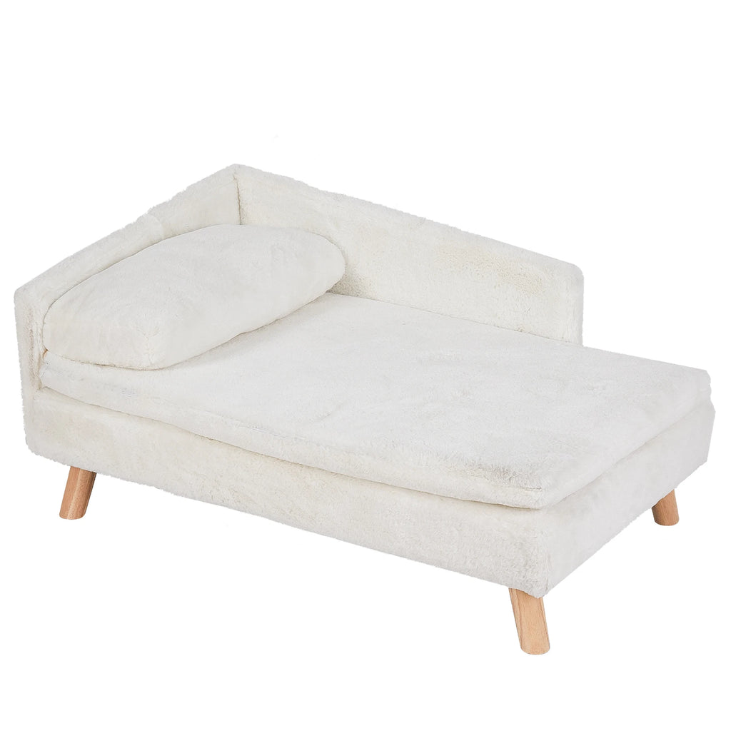 Elevated Pet Bed with Cozy Pad