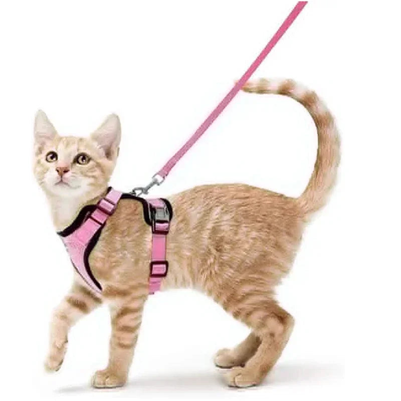 Cat Puppy Harness and Leash for Walking