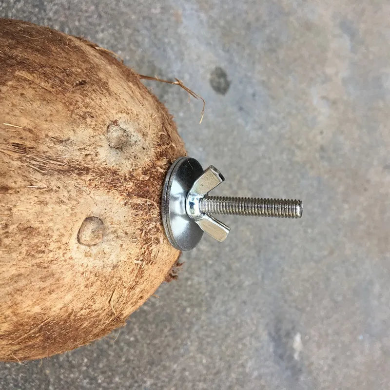 Natural Coconut Hideaway for Pet Birds
