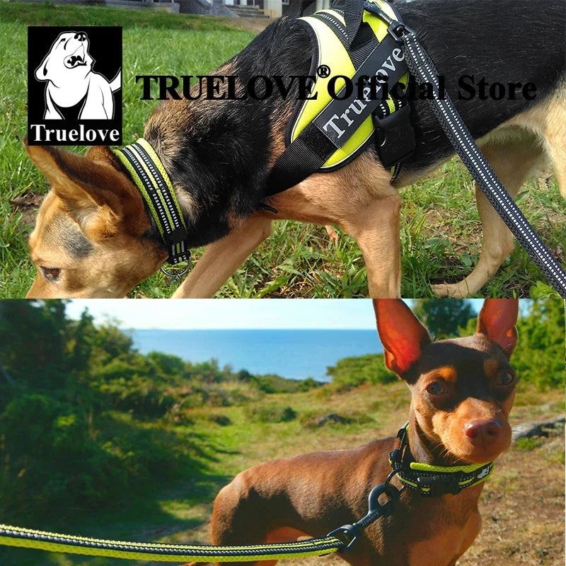 Pet Dog Cat Collar Nylon Adjustable
