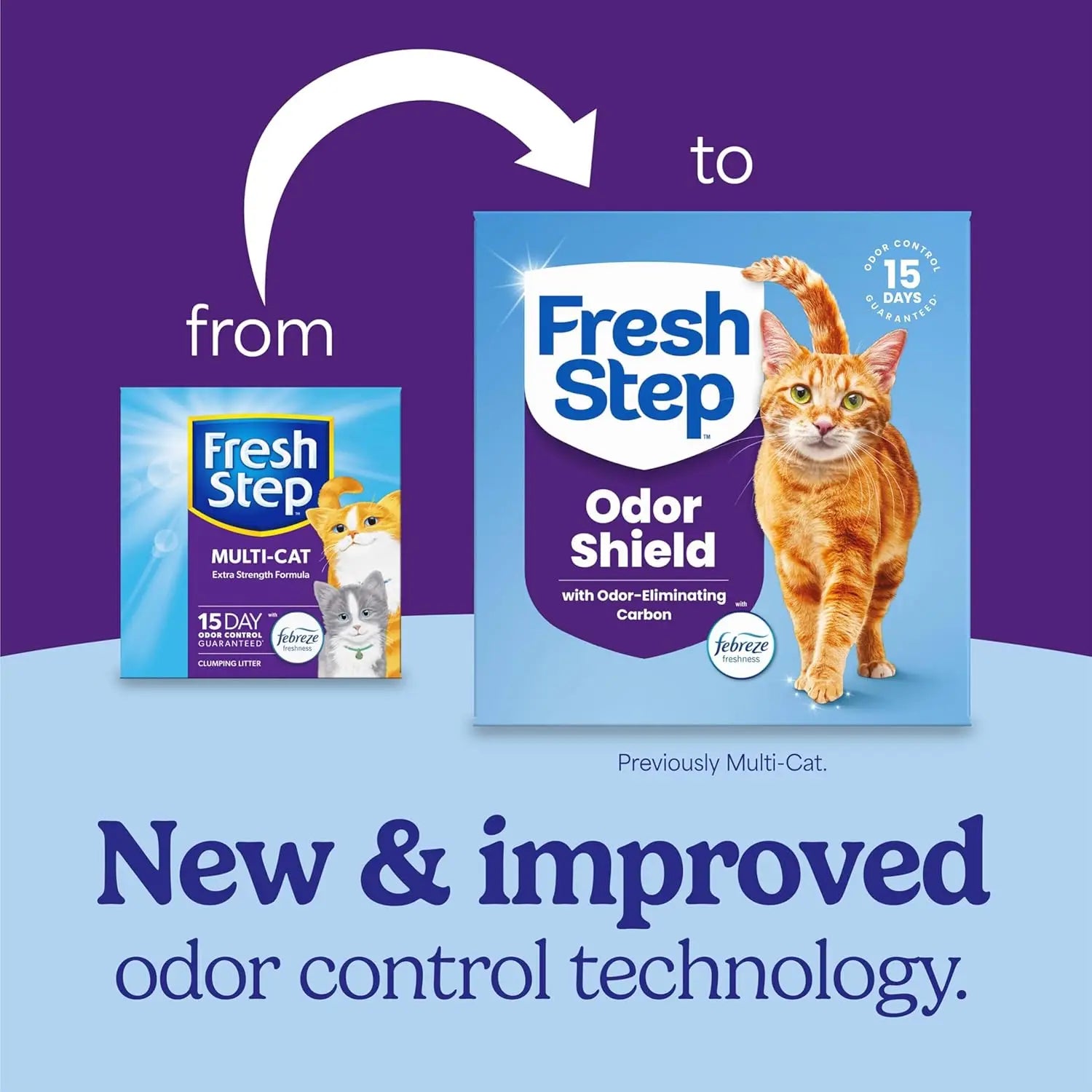 Clumping Cat Litter for Multi-Cat Homes