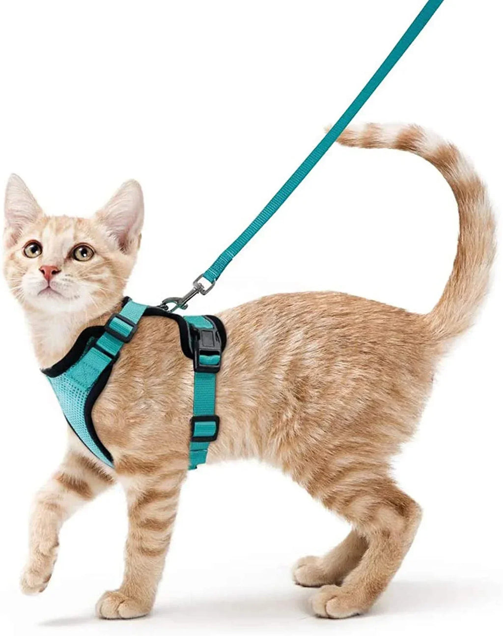 Cat Puppy Harness and Leash for Walking