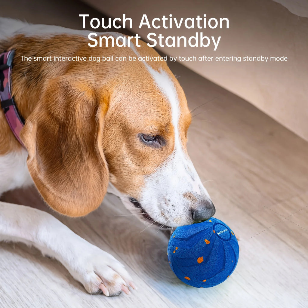 Large Interactive Dog Ball With Auto-Rolling Motion