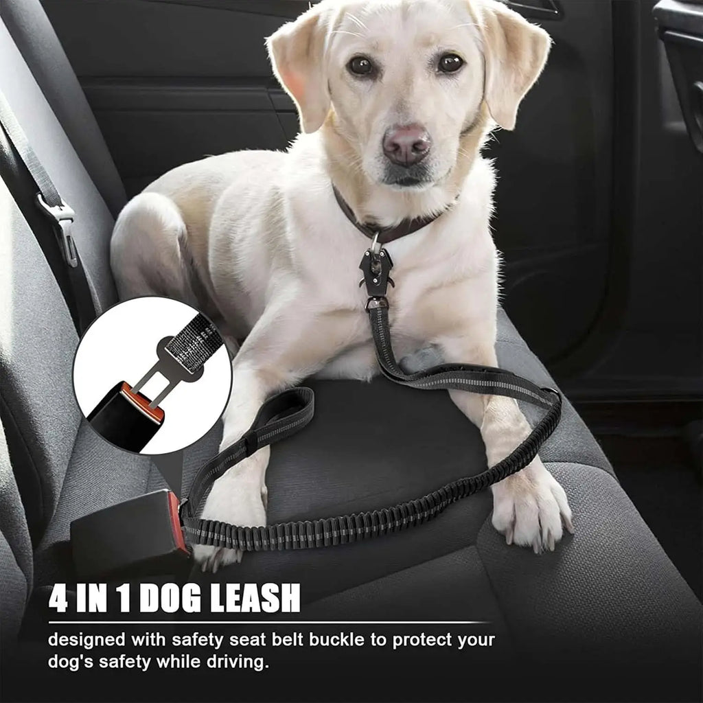 Reflective Shock Absorbing Pet Dog Cat Leash