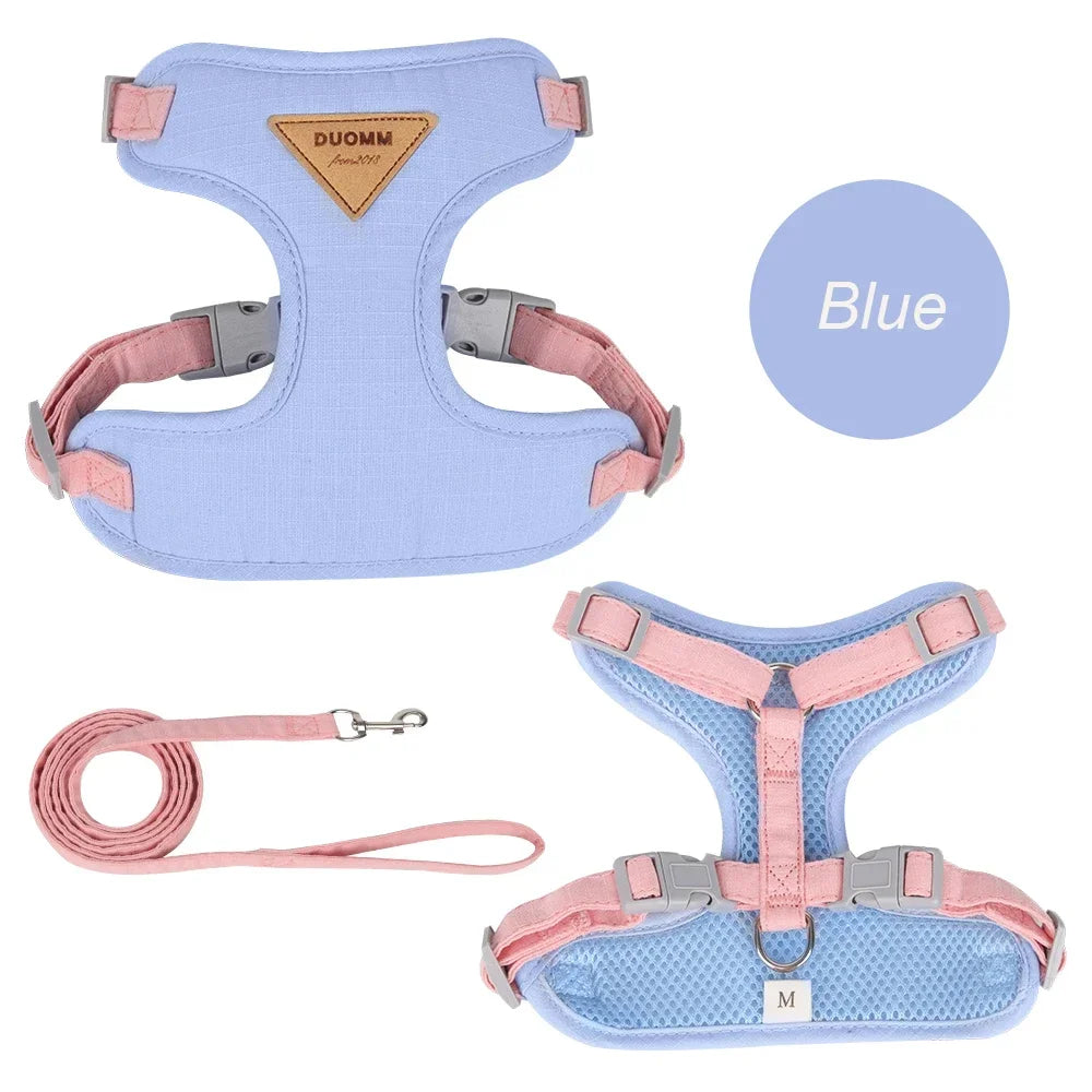 Cat Puppy Outdoor Walking Pet Harness and Leash Set