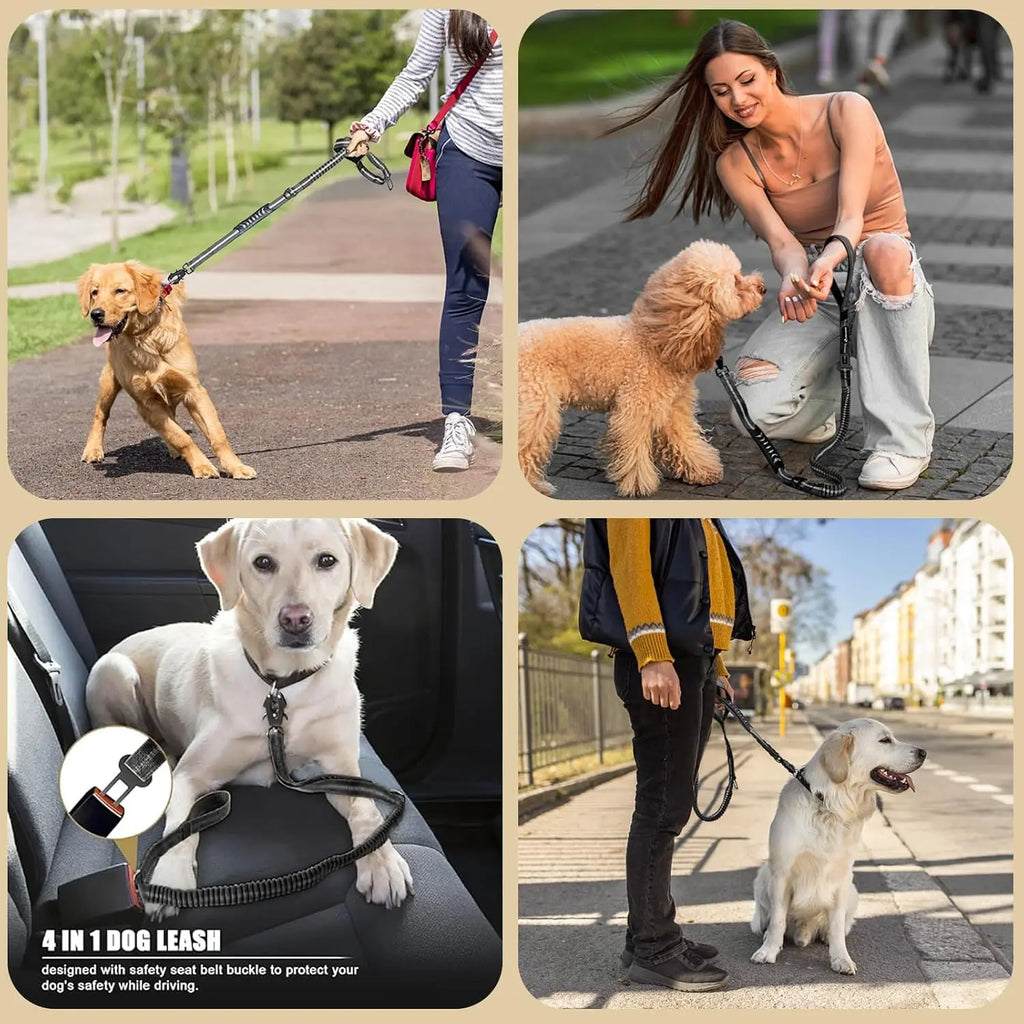Reflective Shock Absorbing Pet Dog Cat Leash