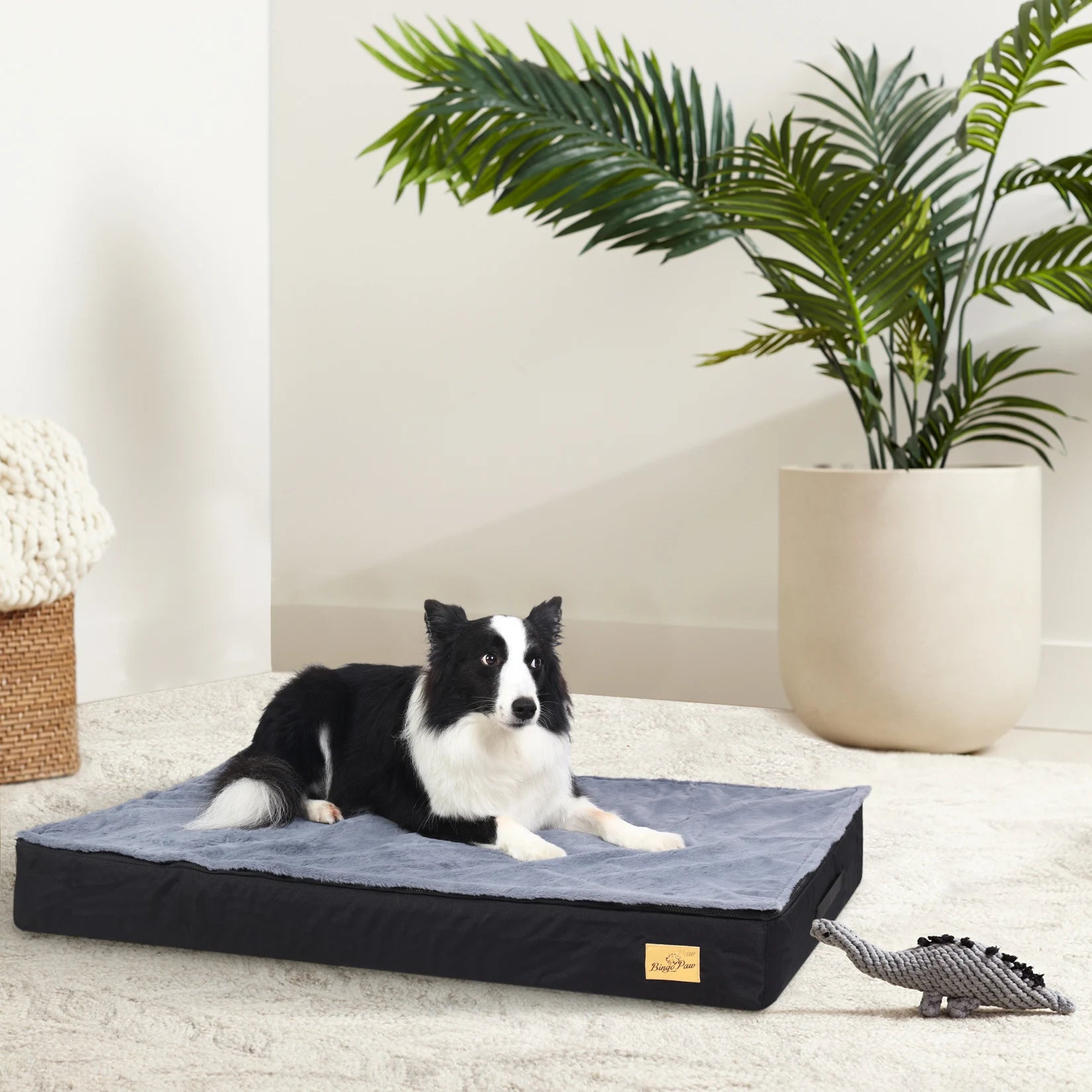 Jumbo Pet Dog Cat Orthopedic Memory Foam Bed