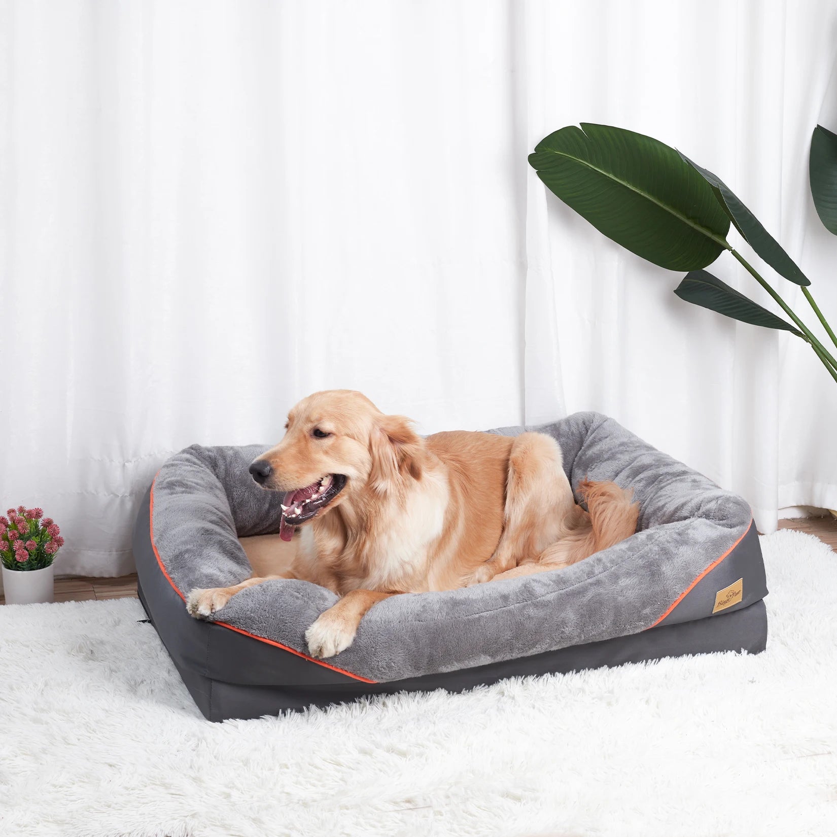 Large Pet Dog Bed Soft Anti Allergy