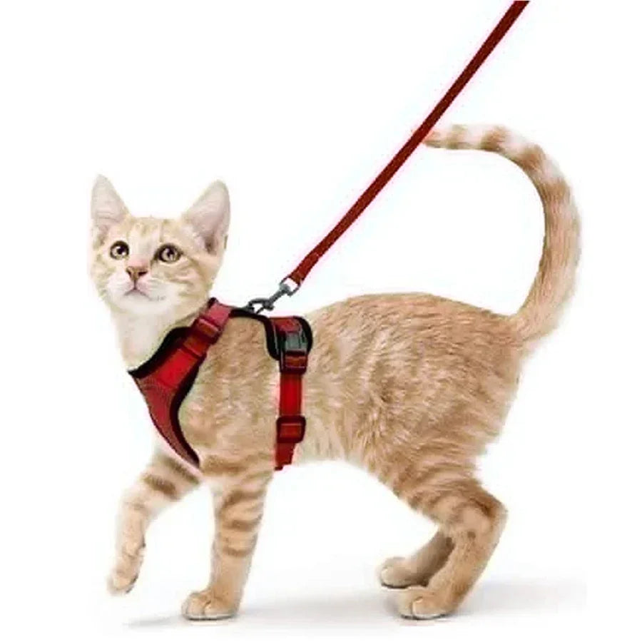 Cat Puppy Harness and Leash for Walking