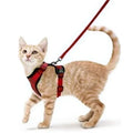 Cat Puppy Harness and Leash for Walking