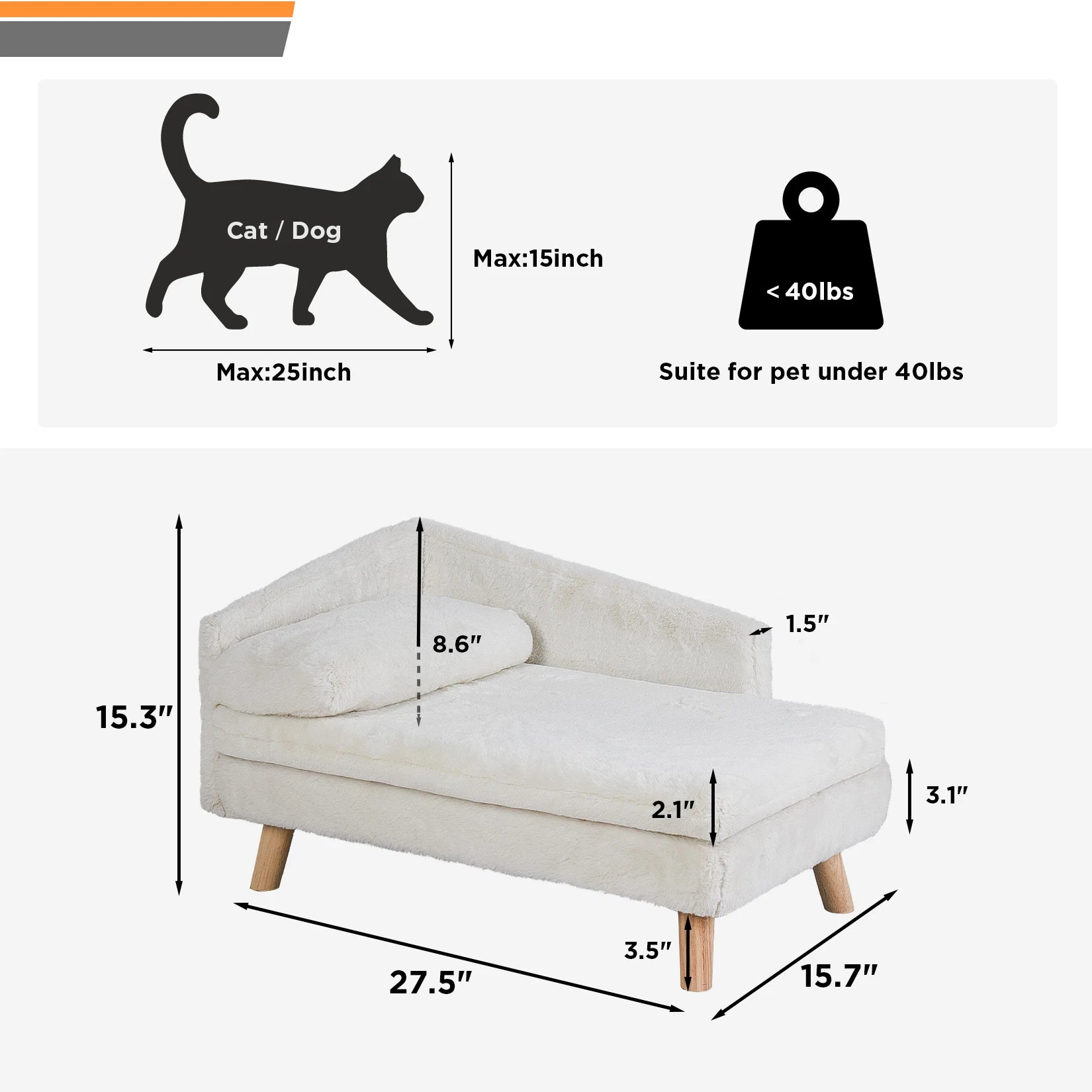Elevated Pet Bed with Cozy Pad