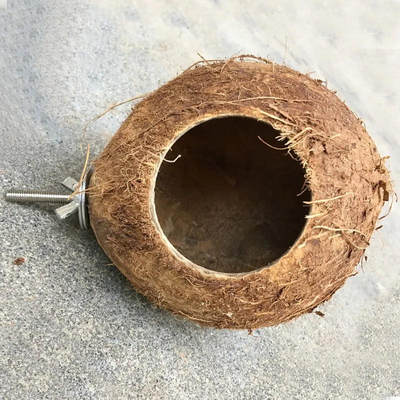 Natural Coconut Hideaway for Pet Birds
