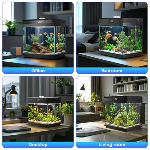 3.7 Gallon Aquarium Starter Kit 10-Color Lights