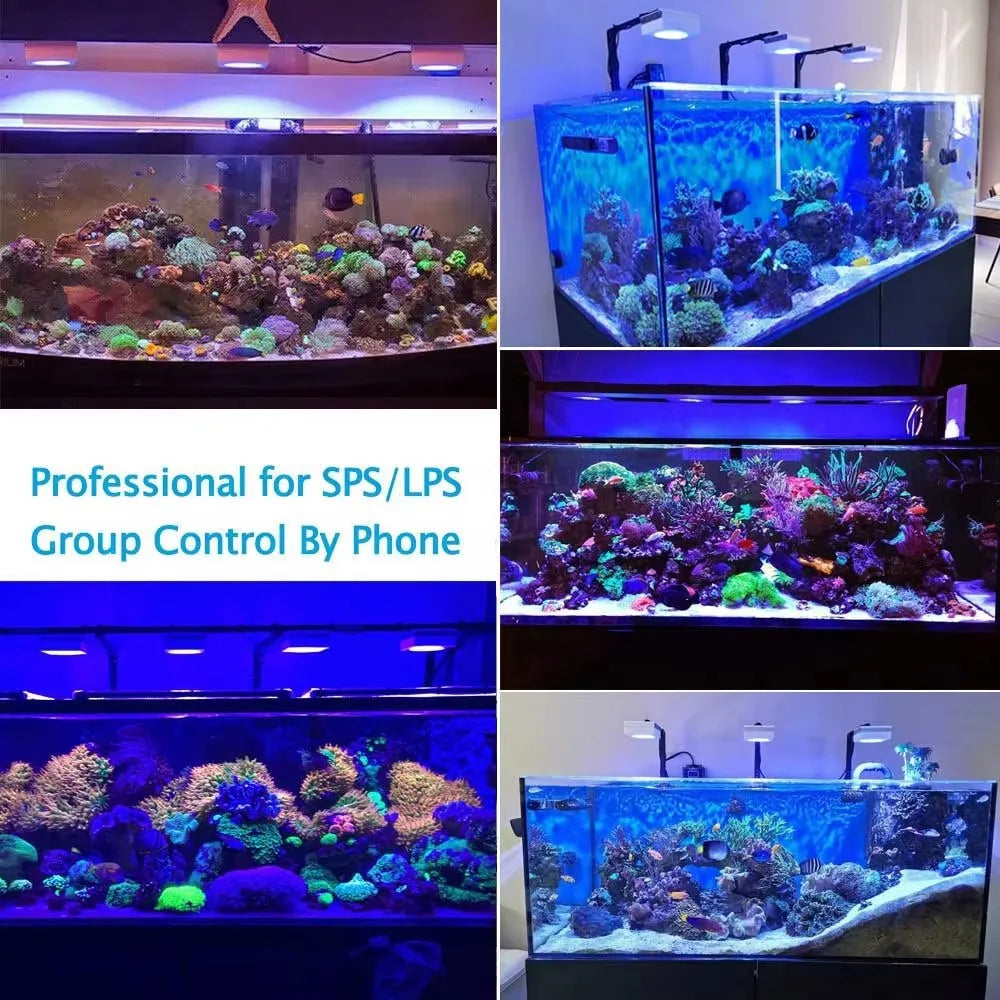WiFi APP Controlled Full Spectrum Aquarium Reef Light