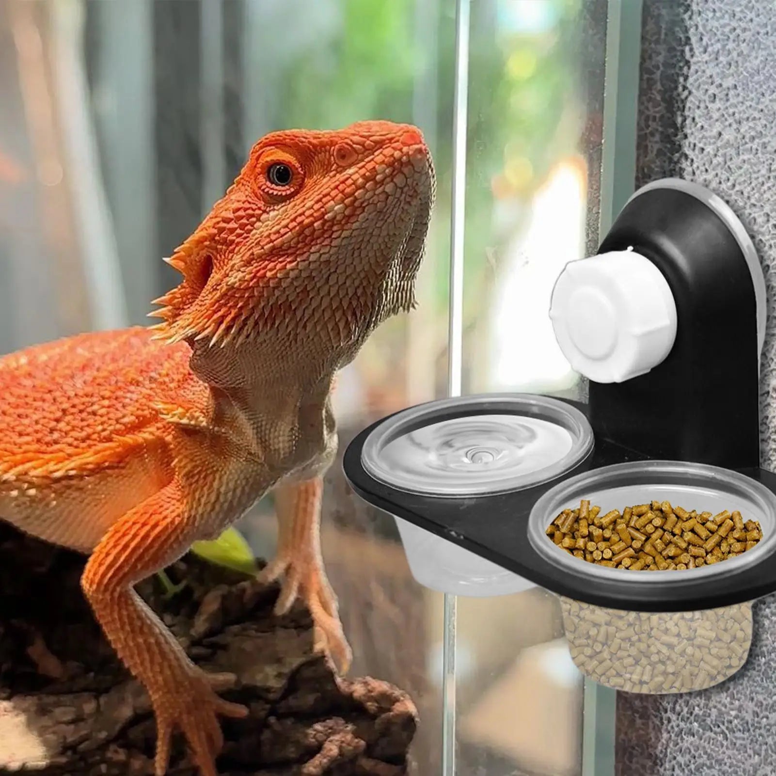 Reptile Food Water Bowl Dish
