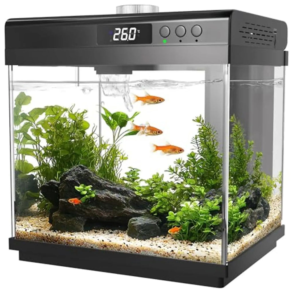 3.7 Gallon Aquarium Starter Kit 10-Color Lights