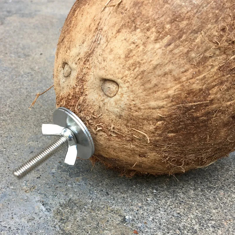 Natural Coconut Hideaway for Pet Birds