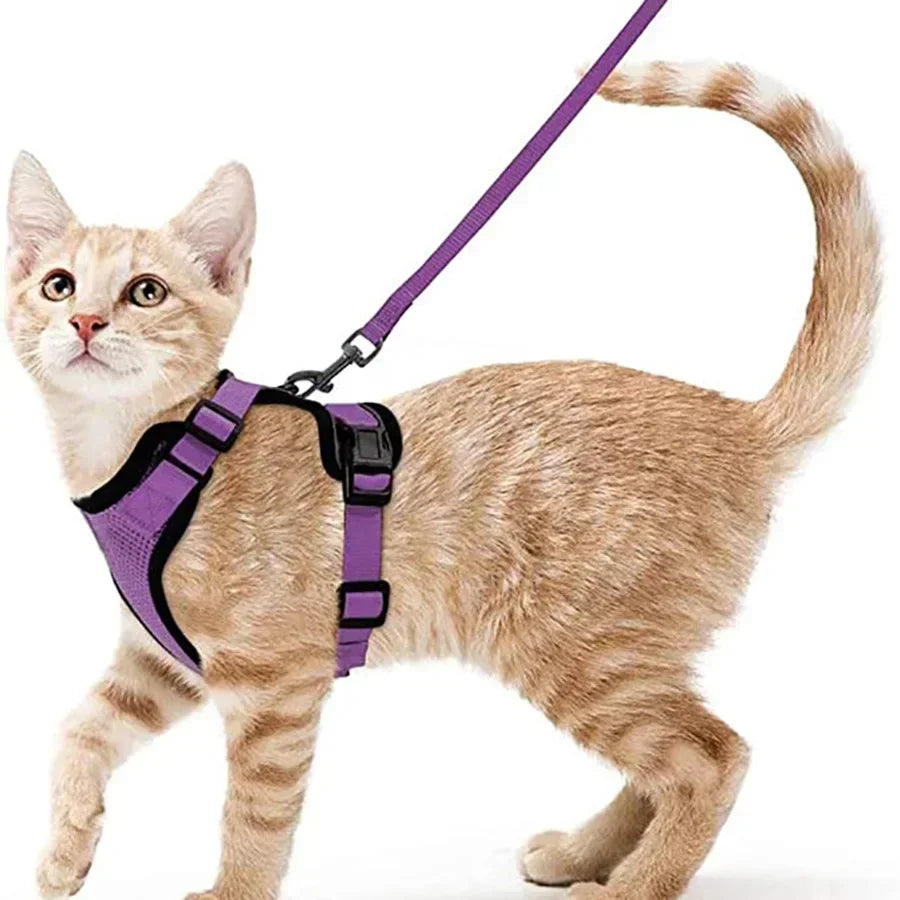 Cat Puppy Harness and Leash for Walking