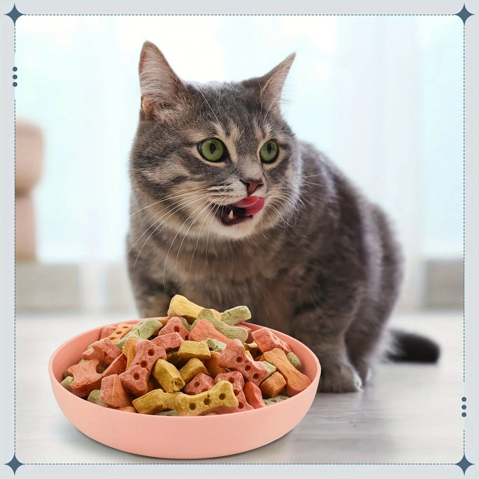 4pcs Shallow Colorful Cat Food and Water Bowls