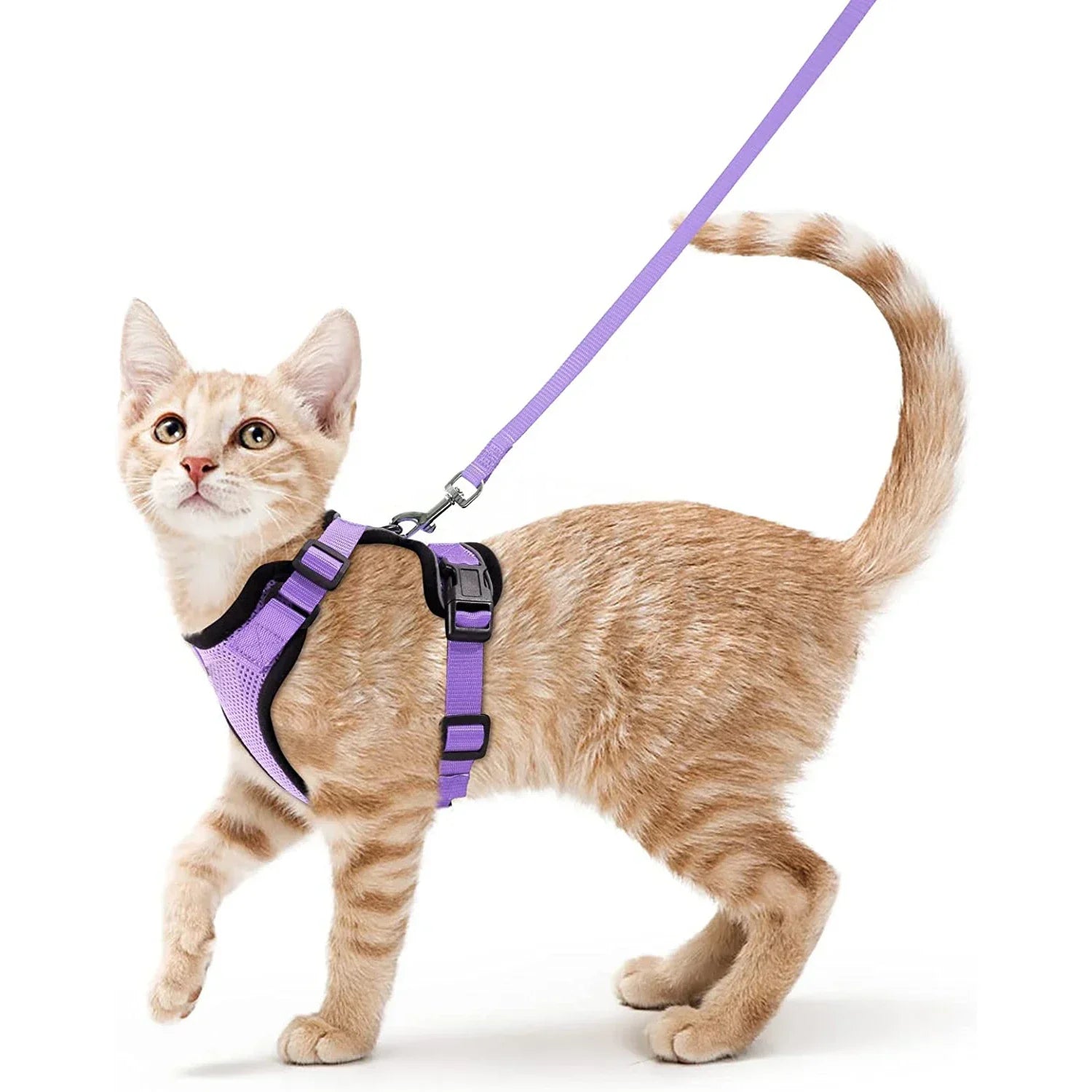 Cat Puppy Harness and Leash for Walking