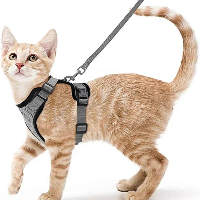 Cat Puppy Harness and Leash for Walking