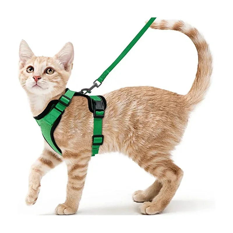 Cat Puppy Harness and Leash for Walking