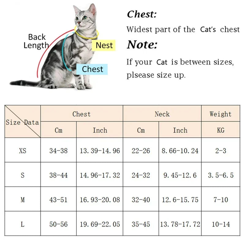 Cat Puppy Outdoor Walking Pet Harness and Leash Set
