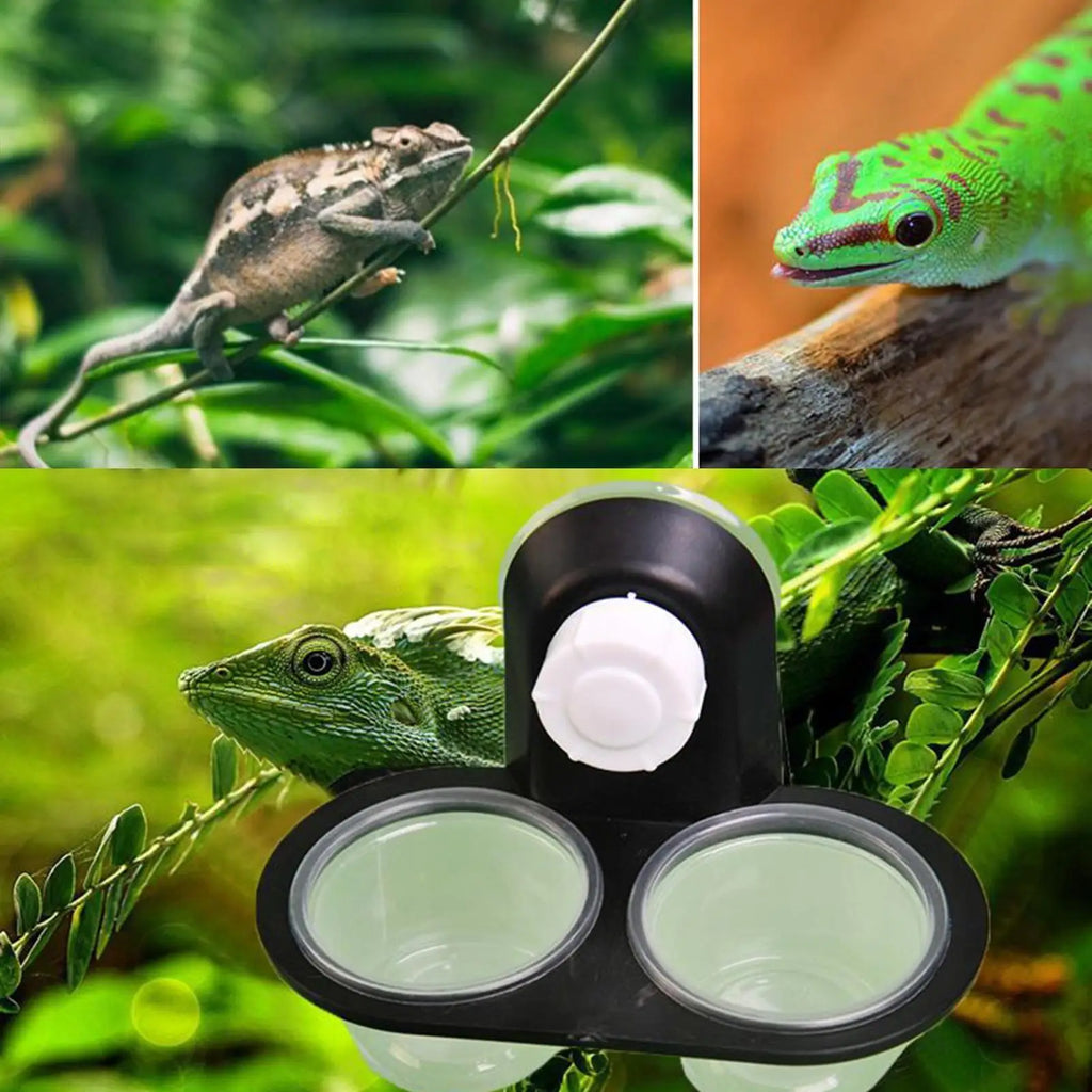 Reptile Food Water Bowl Dish