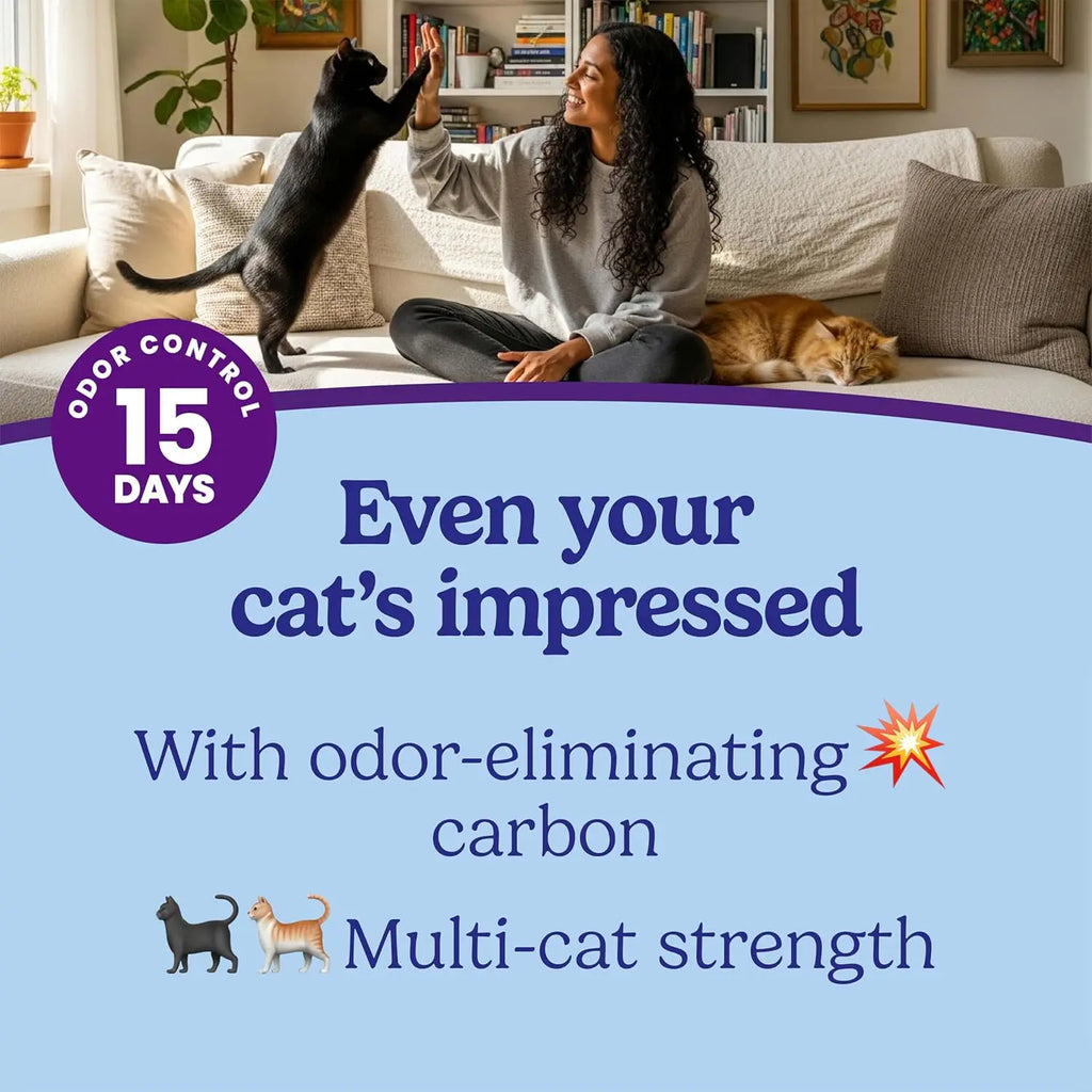 Clumping Cat Litter for Multi-Cat Homes