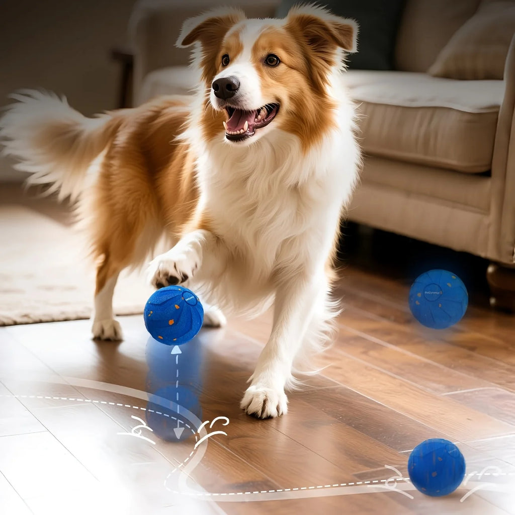 Large Interactive Dog Ball With Auto-Rolling Motion