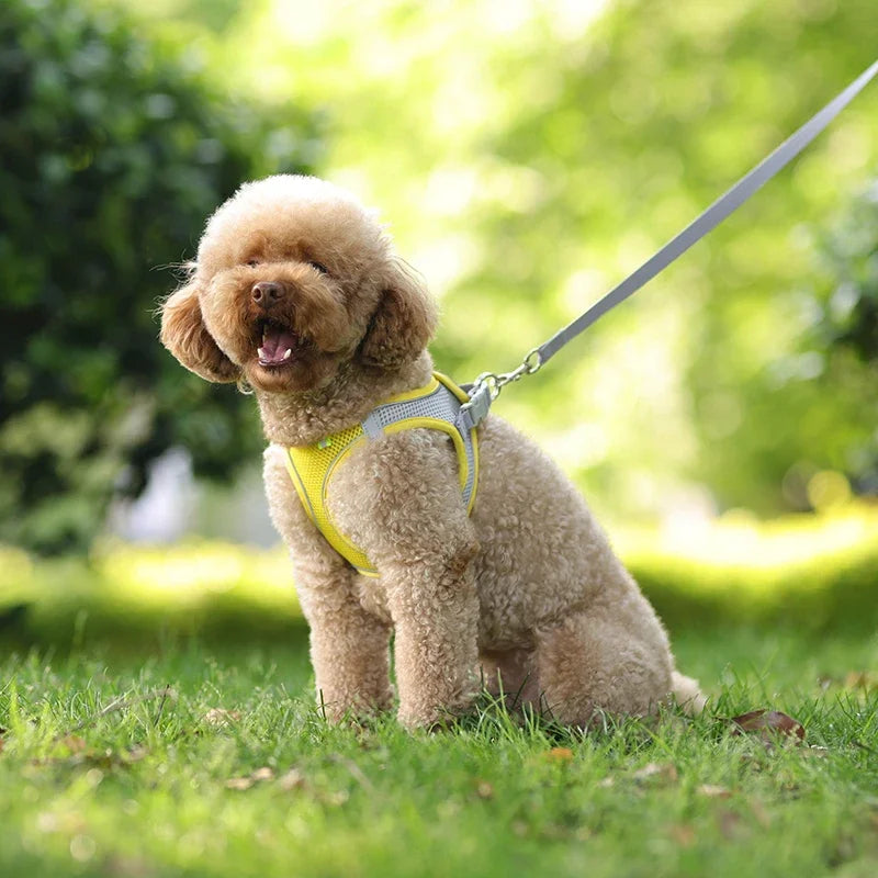 Adjustable Dog Cat Harness Vest Pet Leash