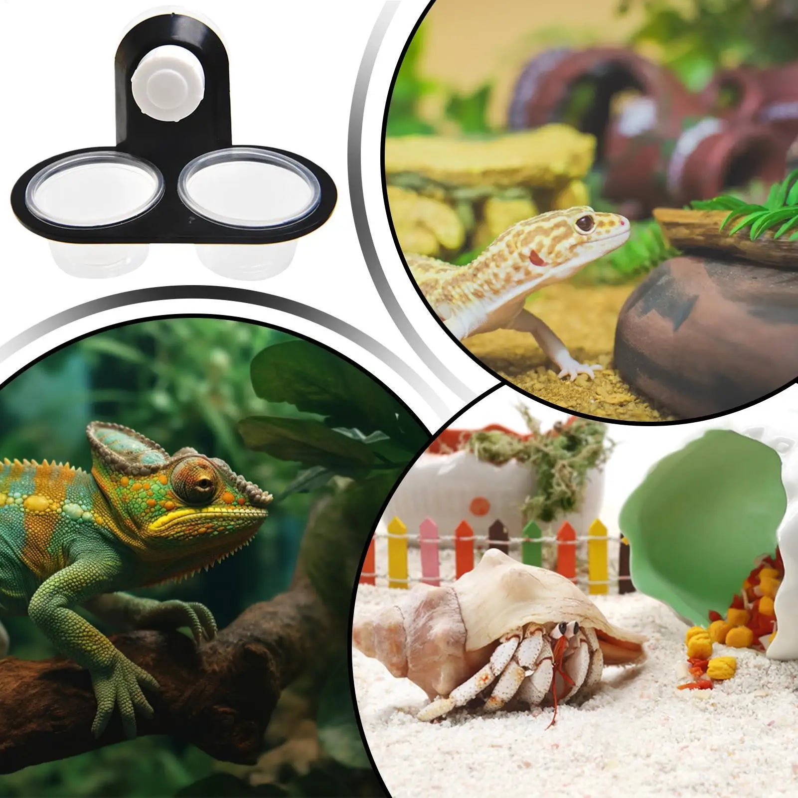 Reptile Food Water Bowl Dish