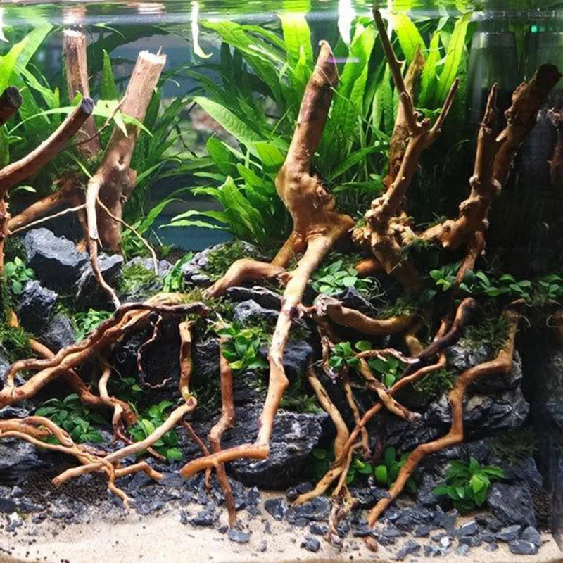 Aquarium Micro Landscape Natural Driftwood Ornaments